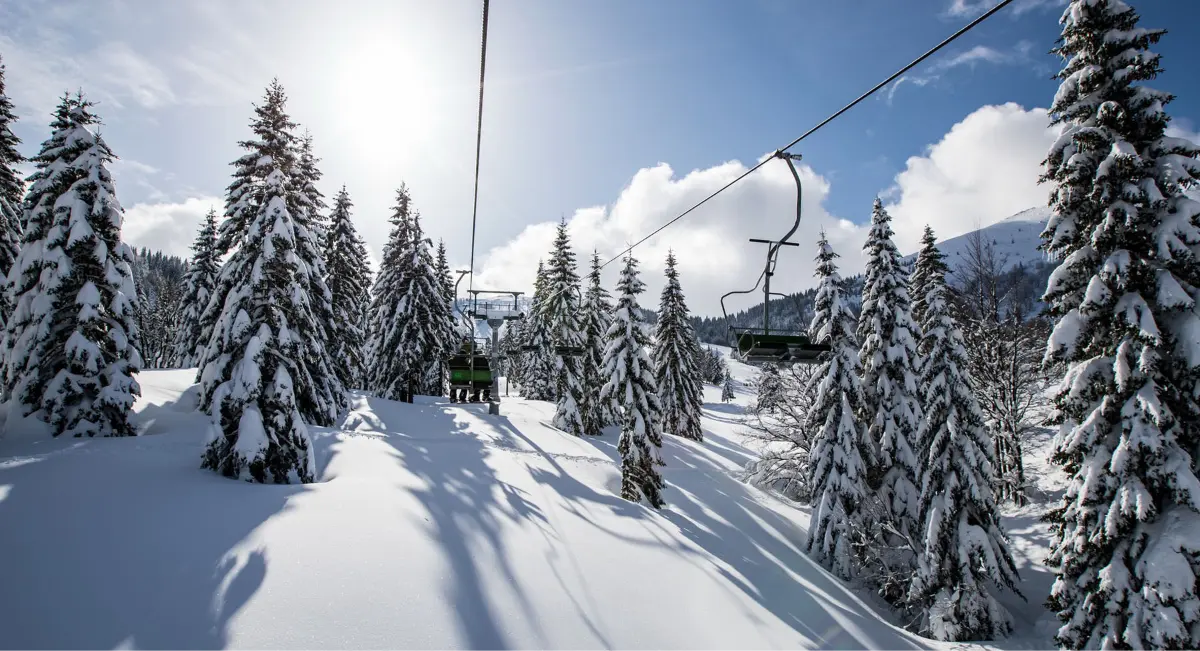 Pogled na zasneženo pokrajino z drevesi in žičniško napravo pod soncem.