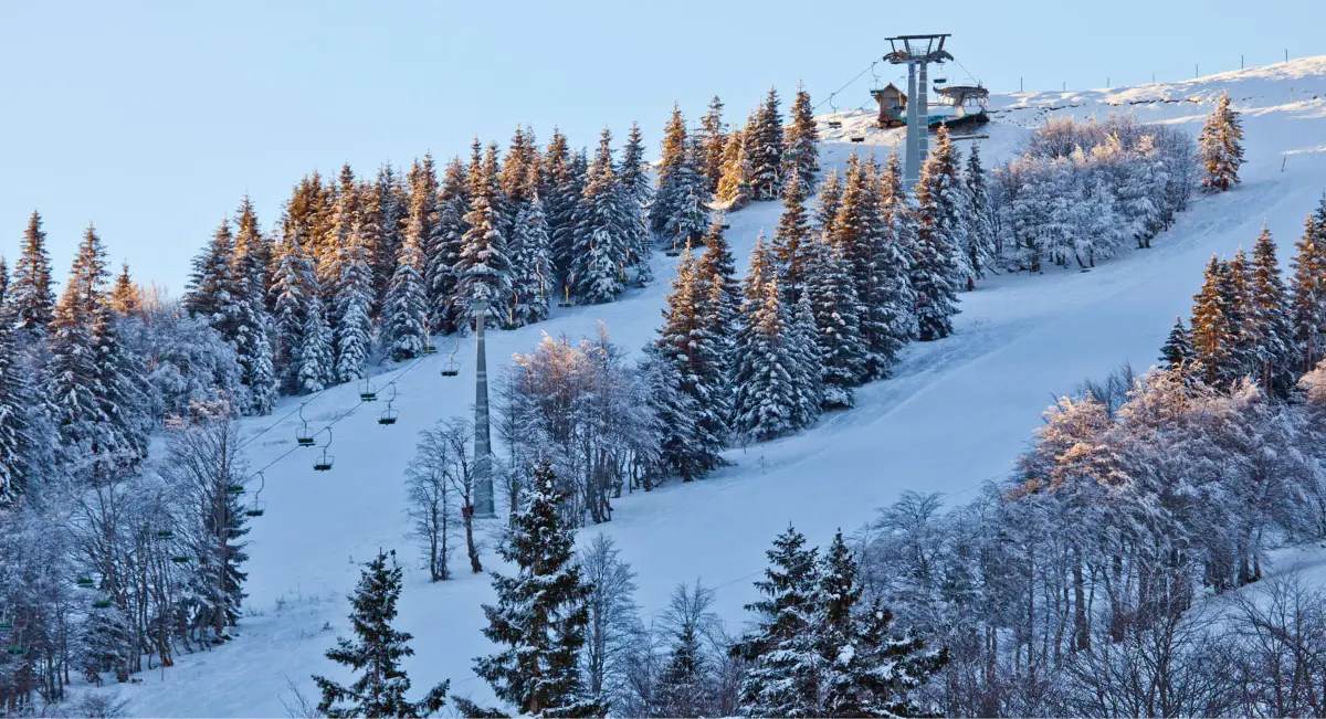 Zasnežena smučišče in žičnica med zimskimi drevesi