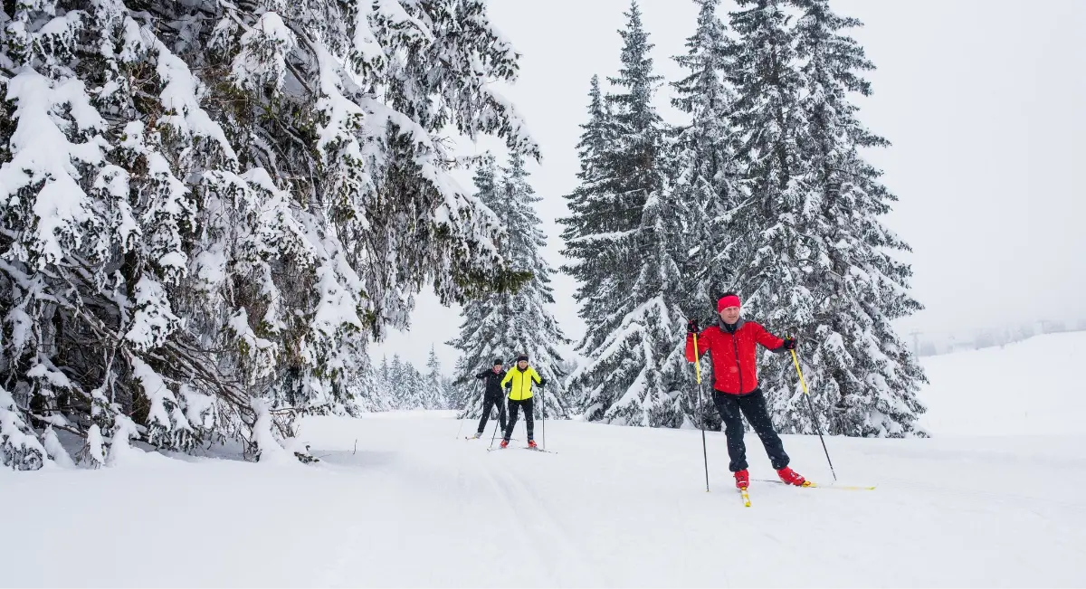 Osebe smučajo na tekaških smučeh po zasneženi poti v gozdu, obdane z visokimi sneženimi drevesi.