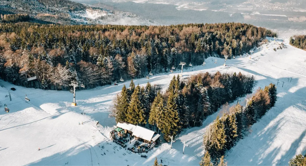 Pogled na zasneženo smučišče s kabinsko žičnico in gozdom v ozadju.