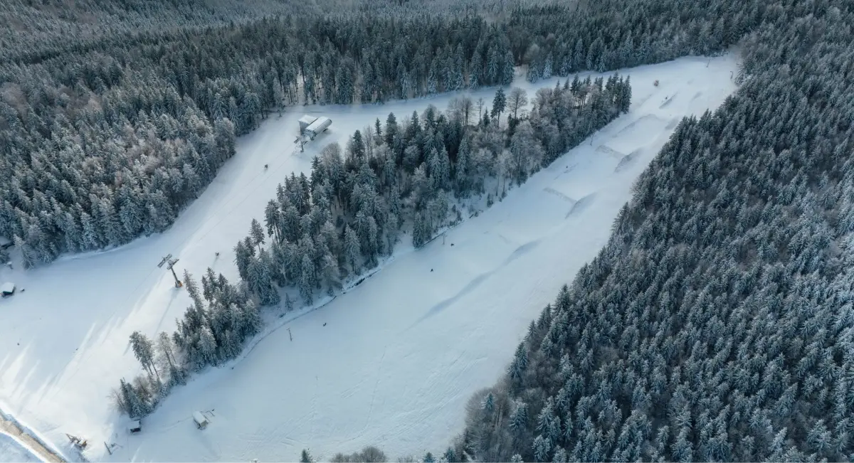 Pogled iz zraka na smučišče obdano z zasneženim gozdom.