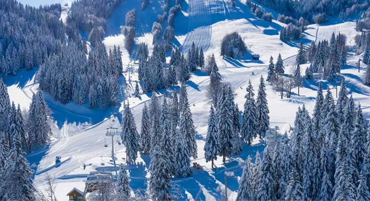 Pogled na zasneženo smučišče s številnimi drevesi prekritimi s snegom, v ozadju pa se razprostirajo hribi.