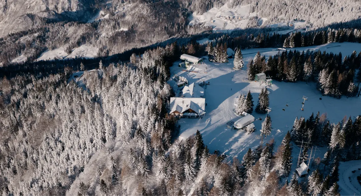 Zračni pogled na zasneženo gozdnato območje s smučiščem in zasneženimi smrekami